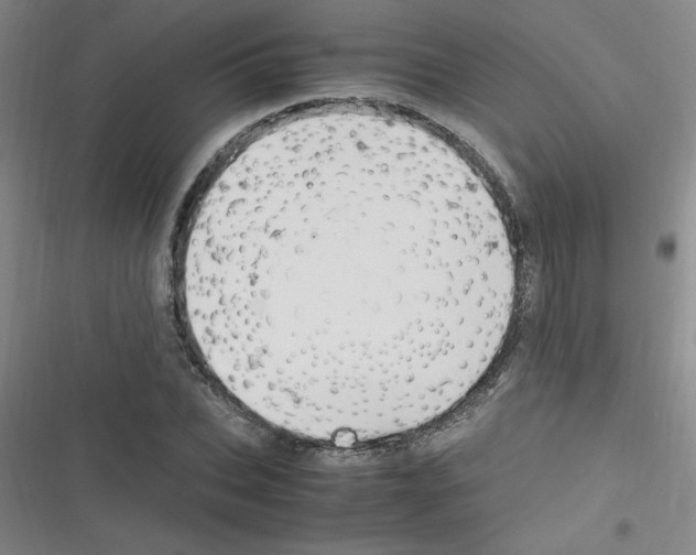 X0000116350927201001131103