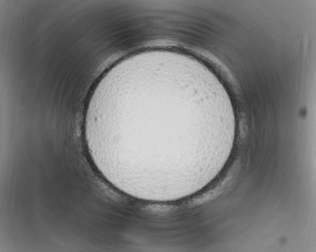 X0000116350929201001131103