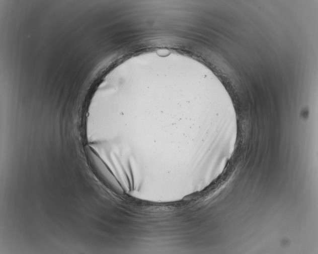 X0000116350930201001131103