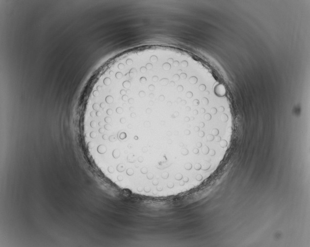 X0000116350931201001131103