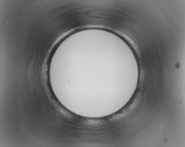 X0000116350933201001131103