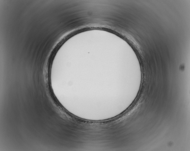 X0000116350934201001131103
