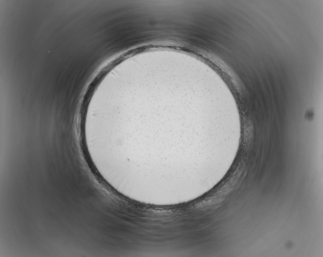 X0000116350935201001131103