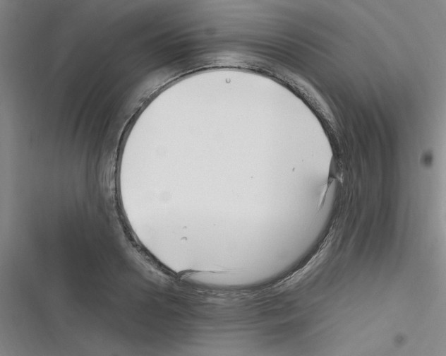 X0000116350938201001131103