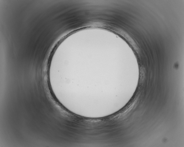 X0000116350939201001131103