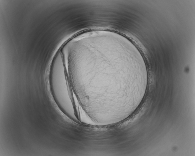 X0000116350941201001131103