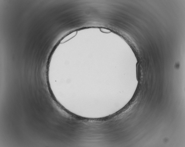 X0000116350942201001131103