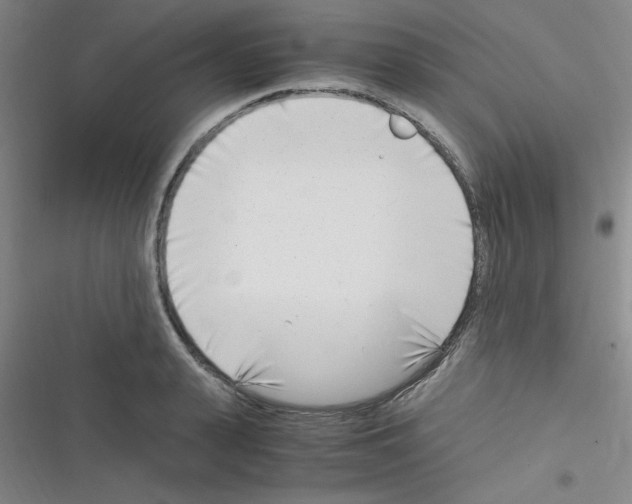 X0000116350943201001131103