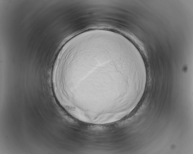 X0000116350945201001131103