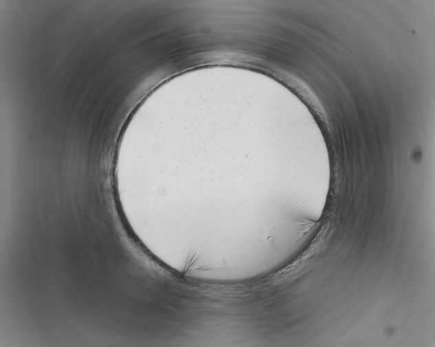 X0000116350946201001131103