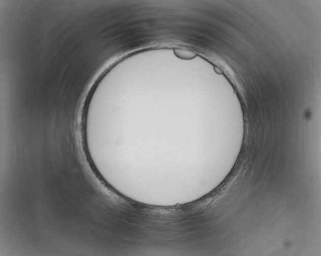 X0000116350947201001131103