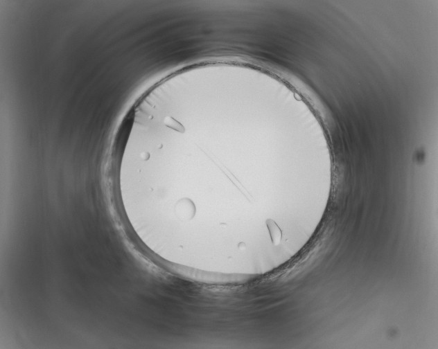 X0000116350951201001131103