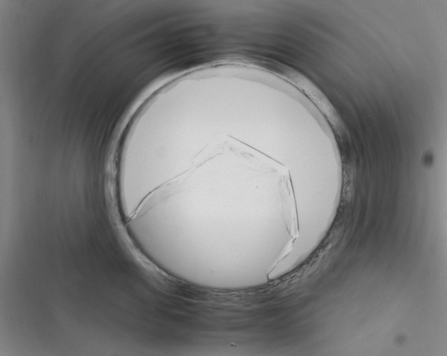 X0000116350955201001131103