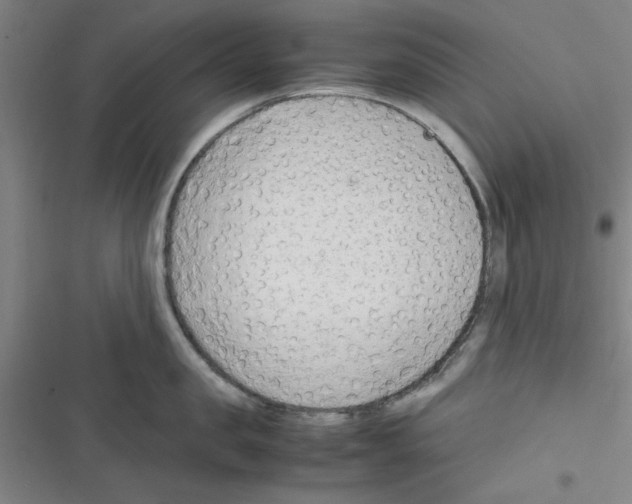 X0000116350957201001131103