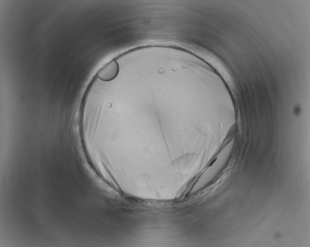 X0000116350958201001131103