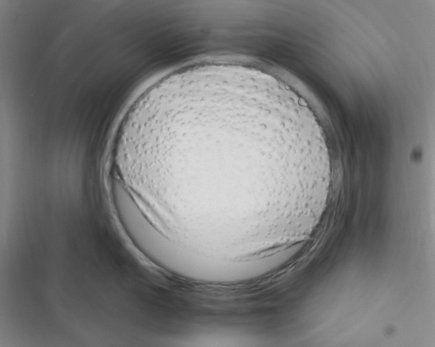 X0000116350959201001131103