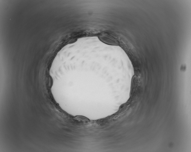 X0000116350961201001131103