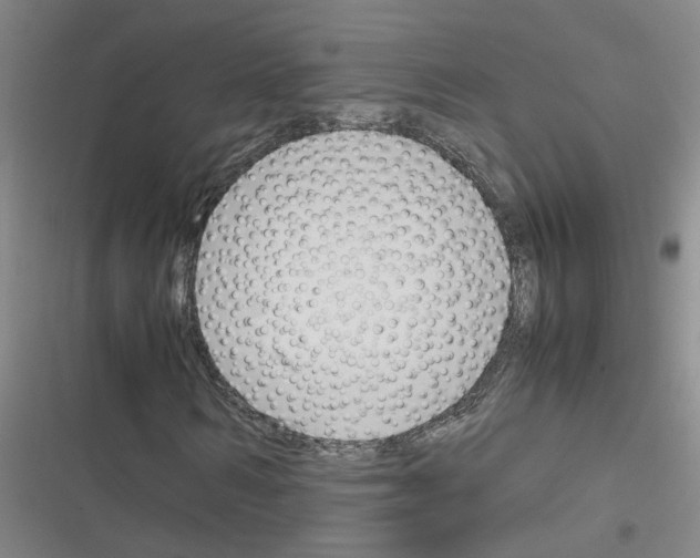X0000116350962201001131103