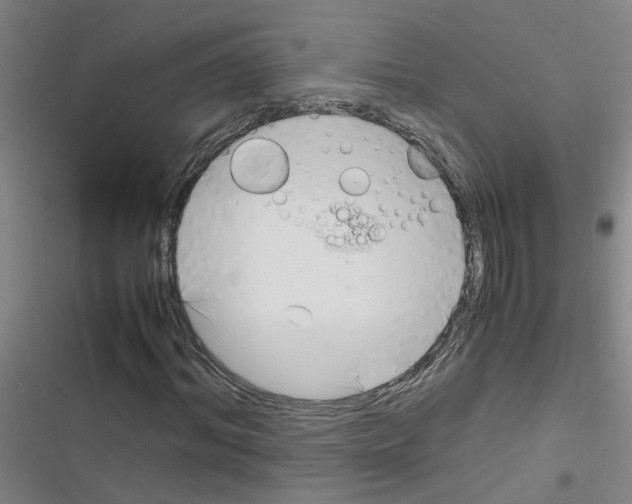 X0000116350964201001131103