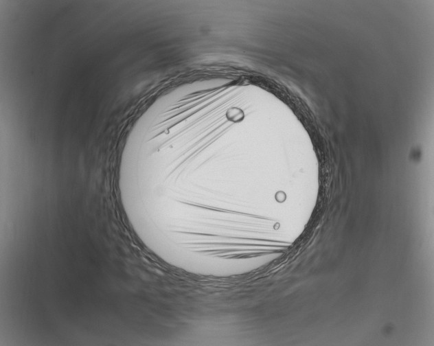 X0000116350965201001131103