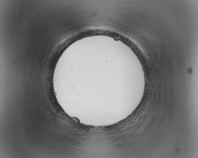 X0000116350967201001131103