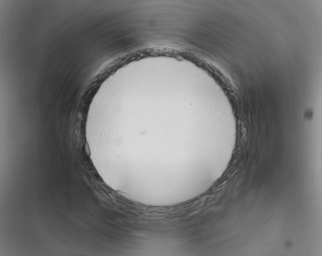 X0000116350968201001131103
