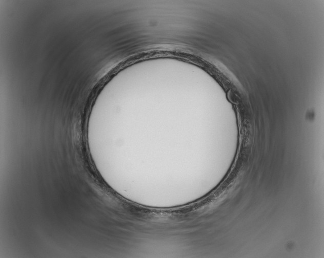 X0000116350969201001131103