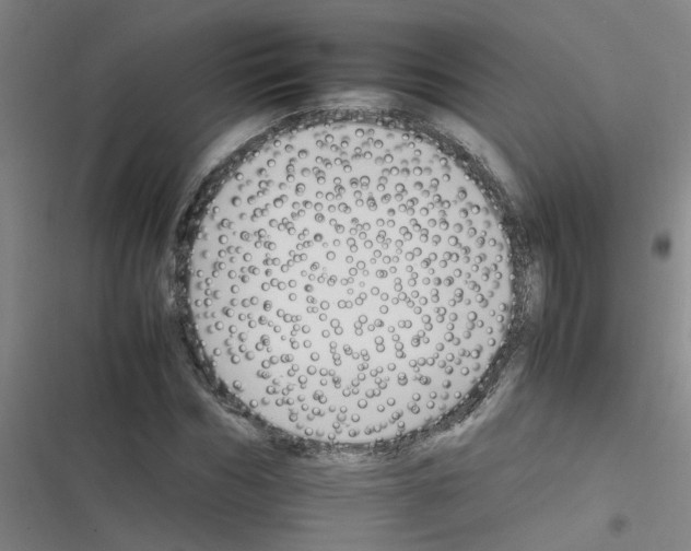 X0000116350970201001131103
