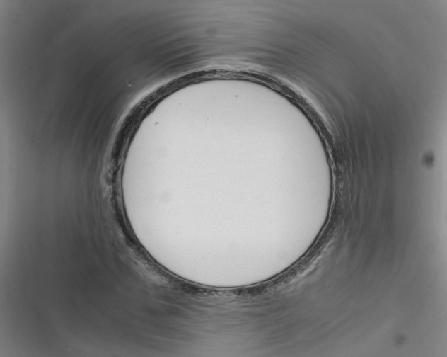 X0000116350971201001131103