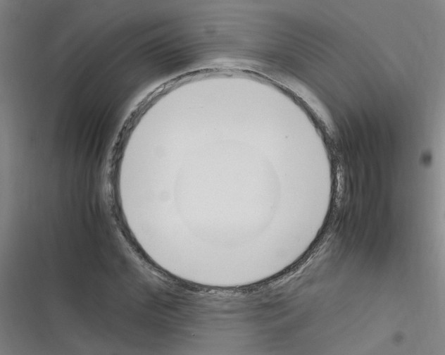 X0000116350972201001131103