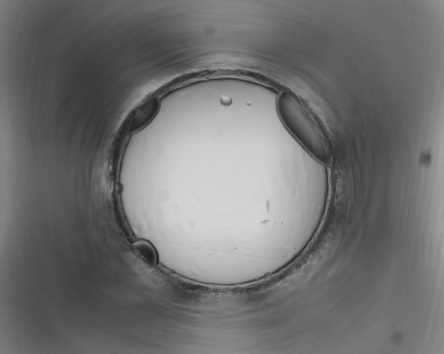 X0000116350973201001131103