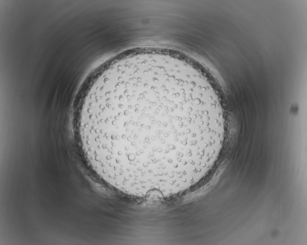 X0000116350974201001131103