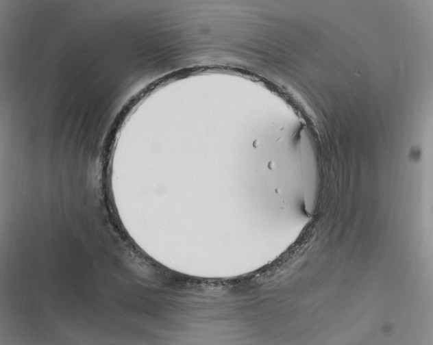 X0000116350975201001131103