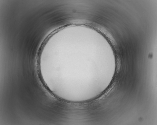 X0000116350976201001131103