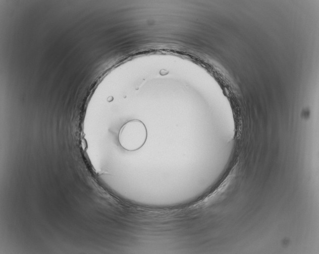 X0000116350977201001131103