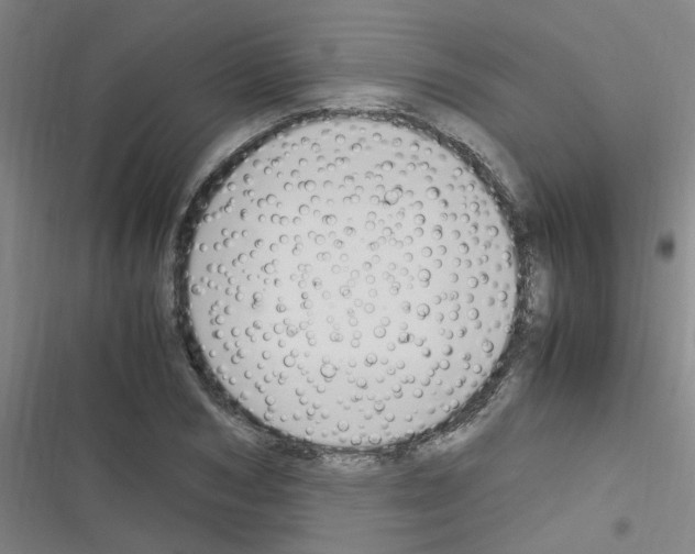 X0000116350978201001131102