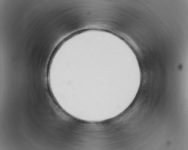 X0000116350980201001131102