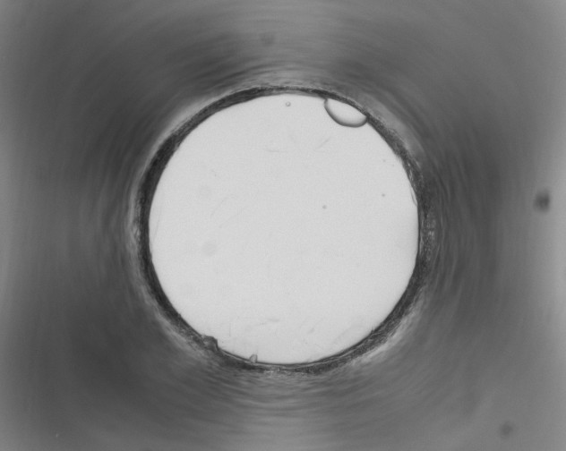 X0000116350981201001131102