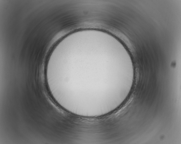 X0000116350982201001131102