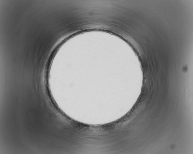 X0000116350983201001131102