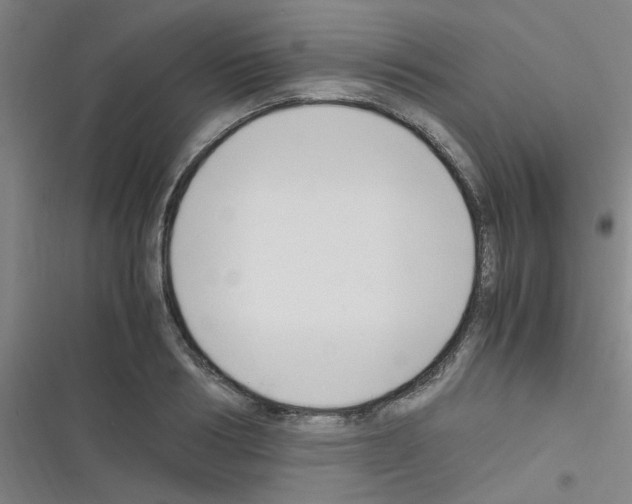 X0000116350986201001131102