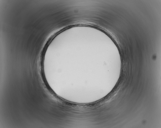 X0000116350987201001131102