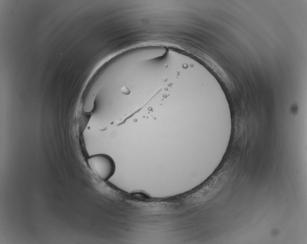 X0000116350988201001131102