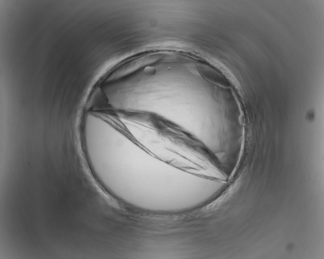 X0000116350989201001131102