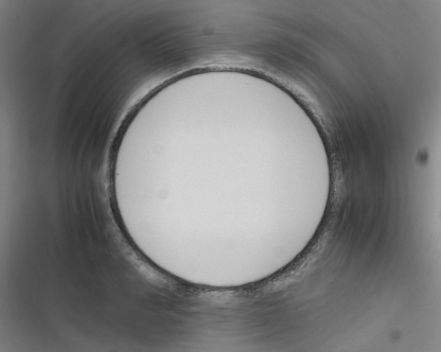 X0000116350990201001131102