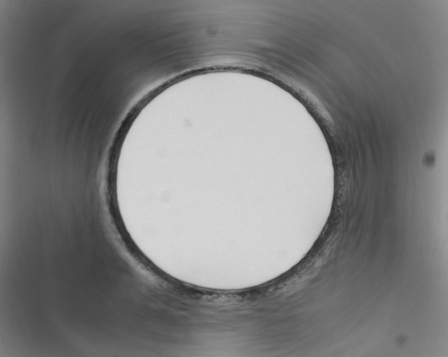 X0000116350991201001131102