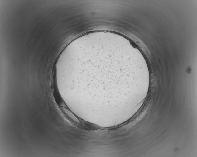 X0000116350993201001131102