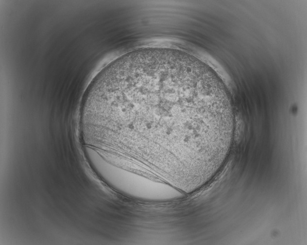 X0000116350994201001131102
