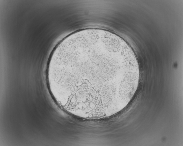 X0000116350995201001131102