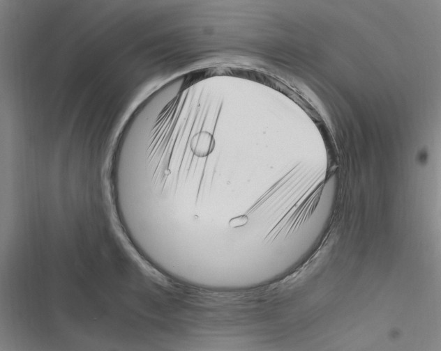 X0000116350997201001131102